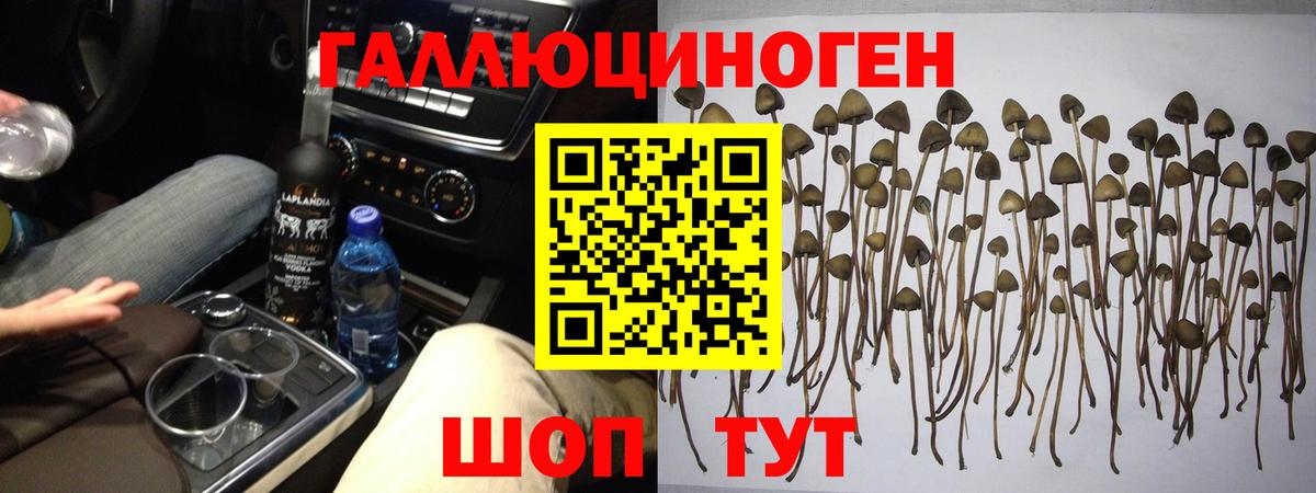 Галлюциногенные грибы ЛСД  Псилоцибиновые грибы Psilocybine cubensis  Вход с VPN  Советск 